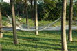 Hammock