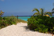 Path to beach